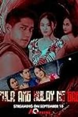 Pula ang kulay ng gabi (2024)